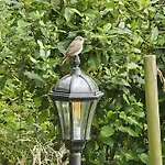 De La Petite Suisse Nyaraló