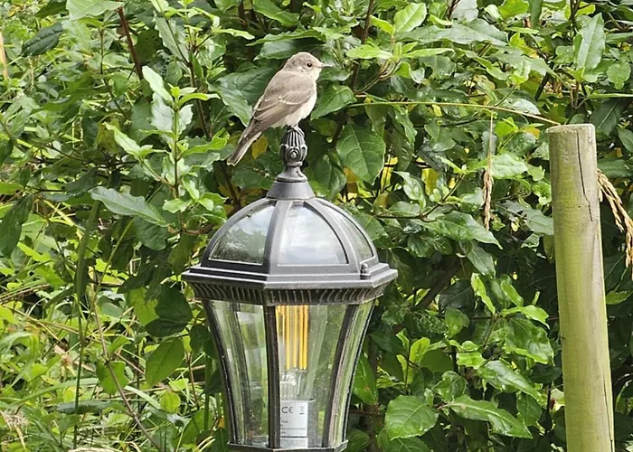 De La Petite Suisse Casa vacanze